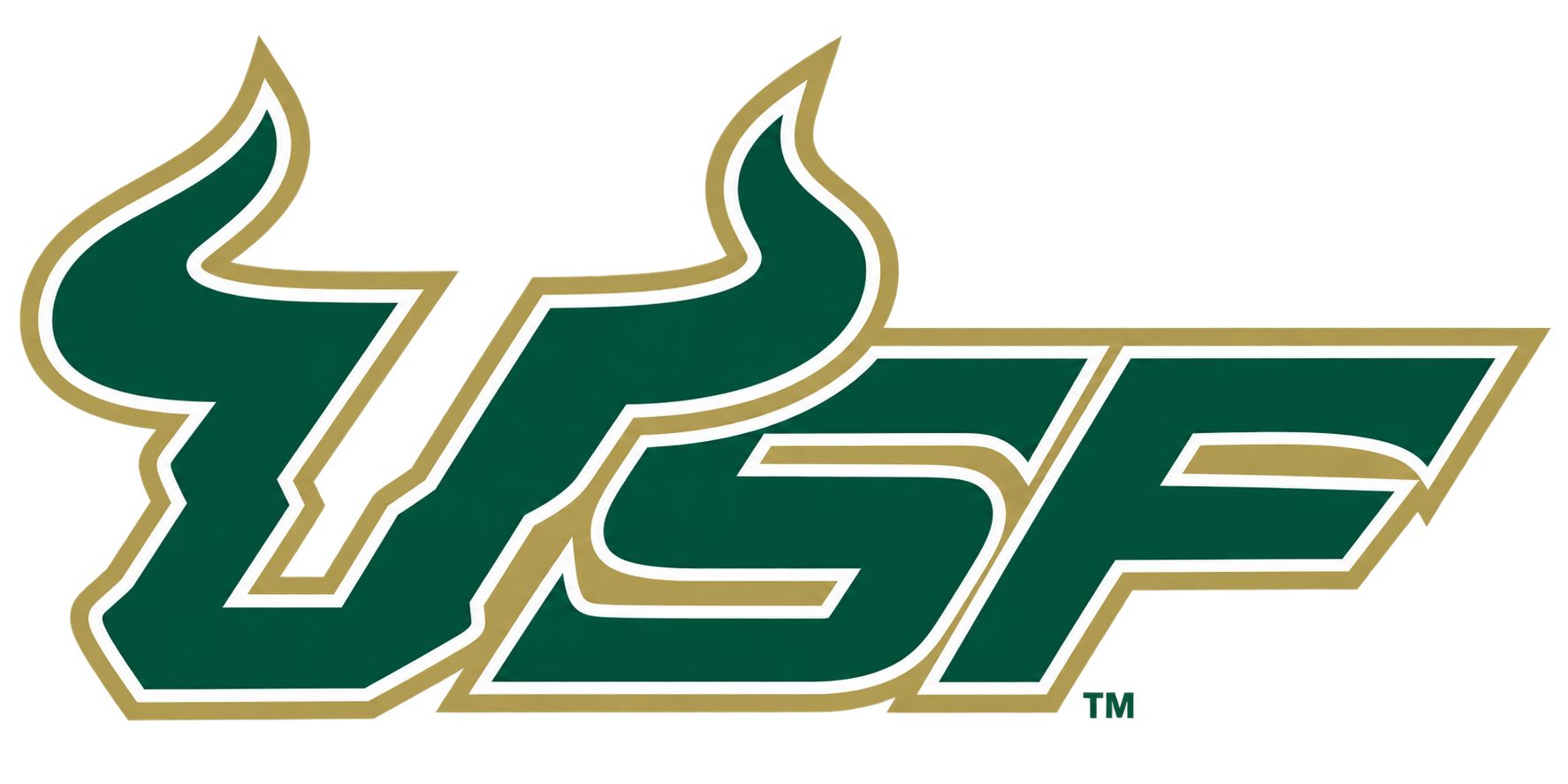 University of South Florida (USF)